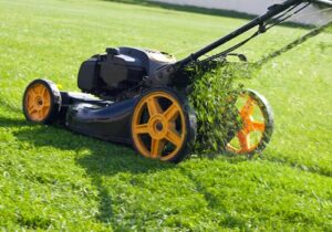 Lawn care in Conway SC