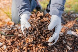 Mulching services in Conway SC