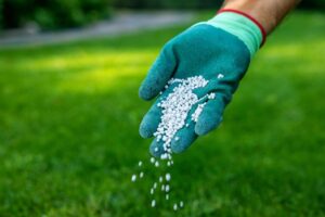 fertilizing services in Conway SC